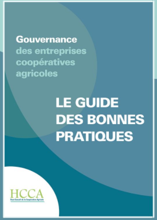 Guide Des Bonnes Pratiques De La Gouvernance - Revision Sud Est